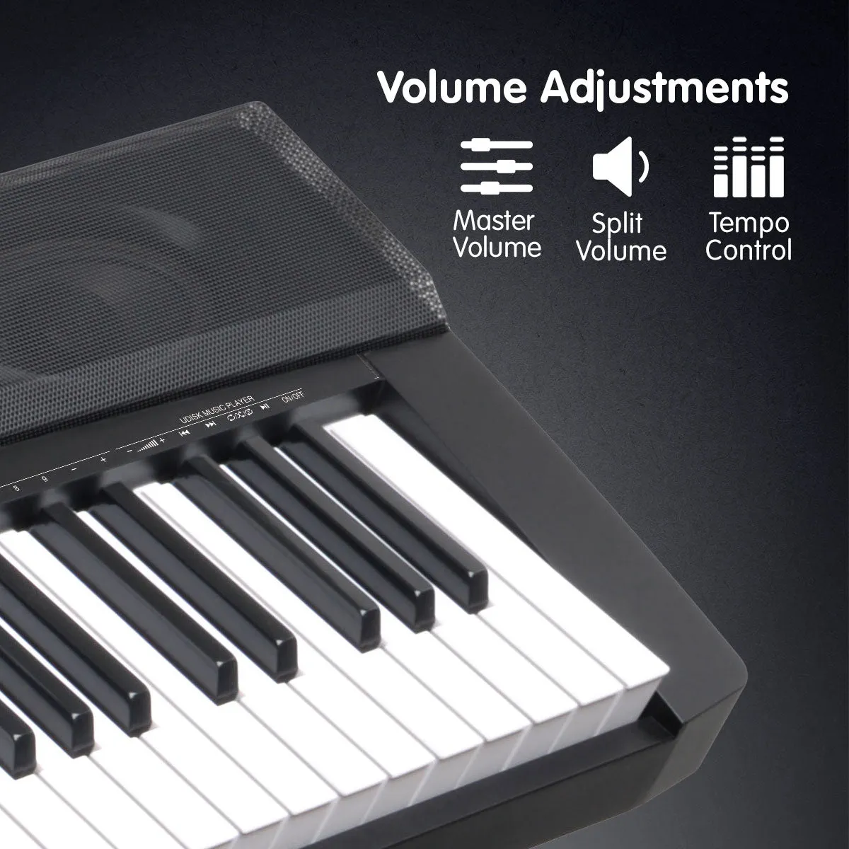 88-Key Touch Electronic Keyboard Piano w/ Stand, Karrera