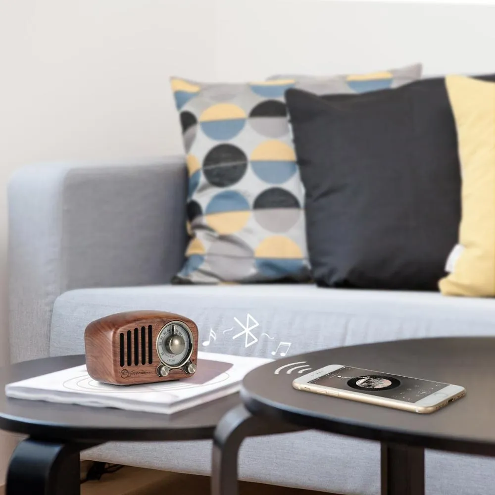 Classical retro radio receiver portable