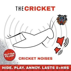 Cricket 🦗🔊 - Joker Hiding Noise Prank (Sound   Glitter)