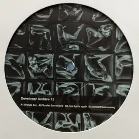 Developer - Archive 13