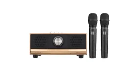 Family Karaoke Machine System Hand-held