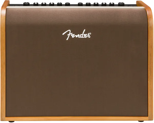 Fender Acoustic 100, 120V
