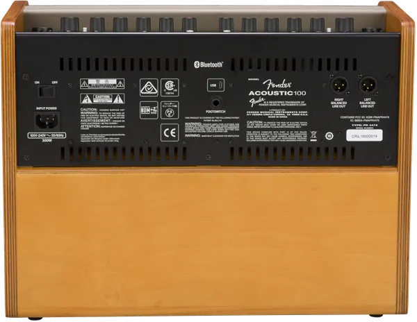 Fender Acoustic 100, 120V