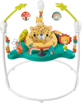 ?Fisher-Price Jumperoo Baby Activity Center with Lights Sounds and Music