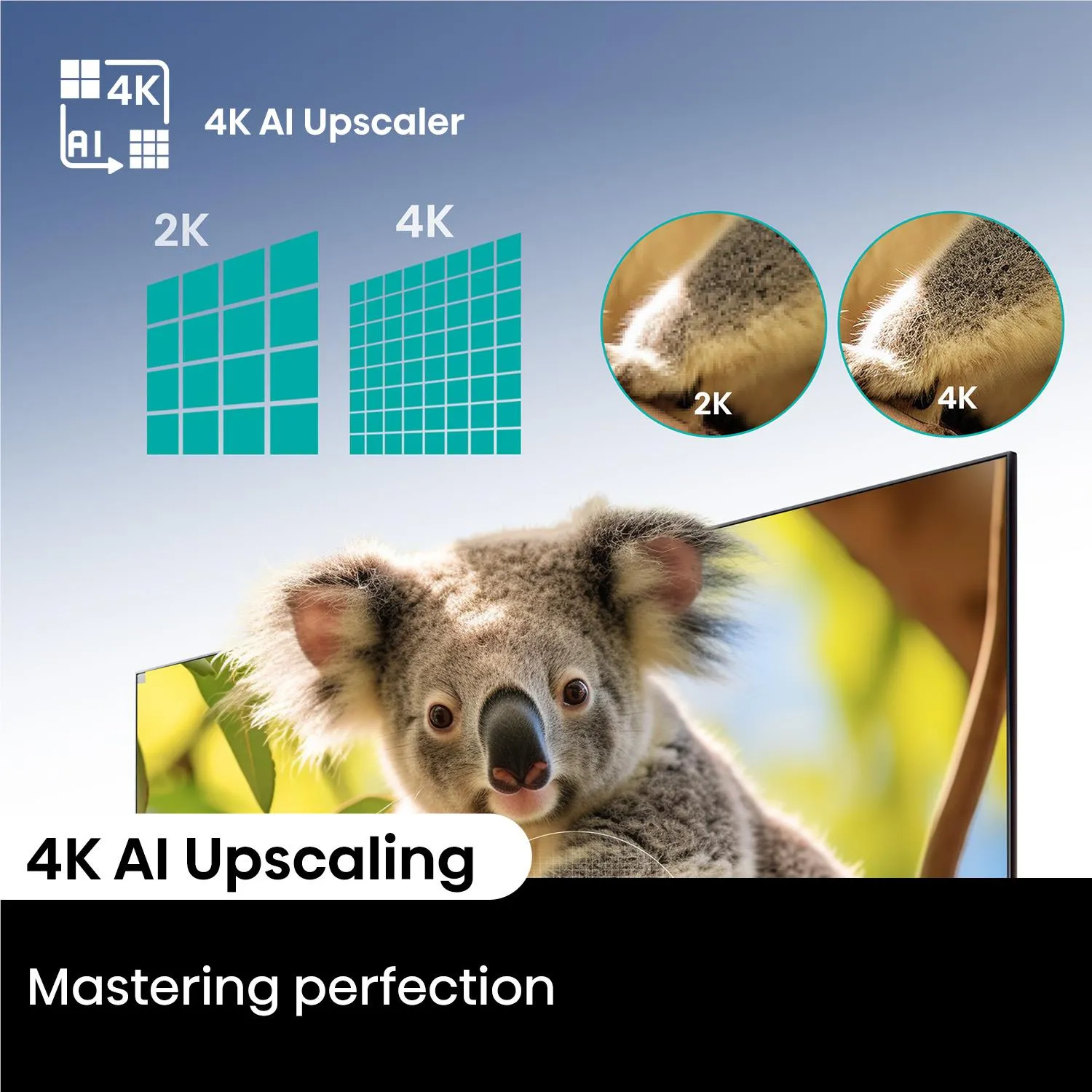 Hisense 65" Q6NAU 4K QLED Smart TV [2024]
