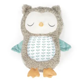 Ingenuity Snuggle Sounds Soothing Plush Toy Nally the Owl, Unisex