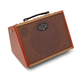ISUZI AA2 Acoustic 25w Portable Amplifier