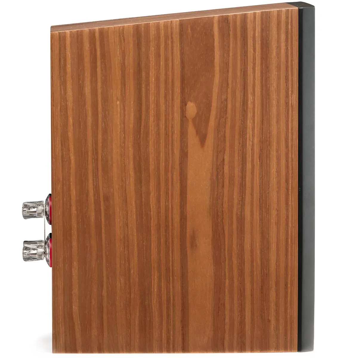 MartinLogan Motion XT B100 Bookshelf Speaker
