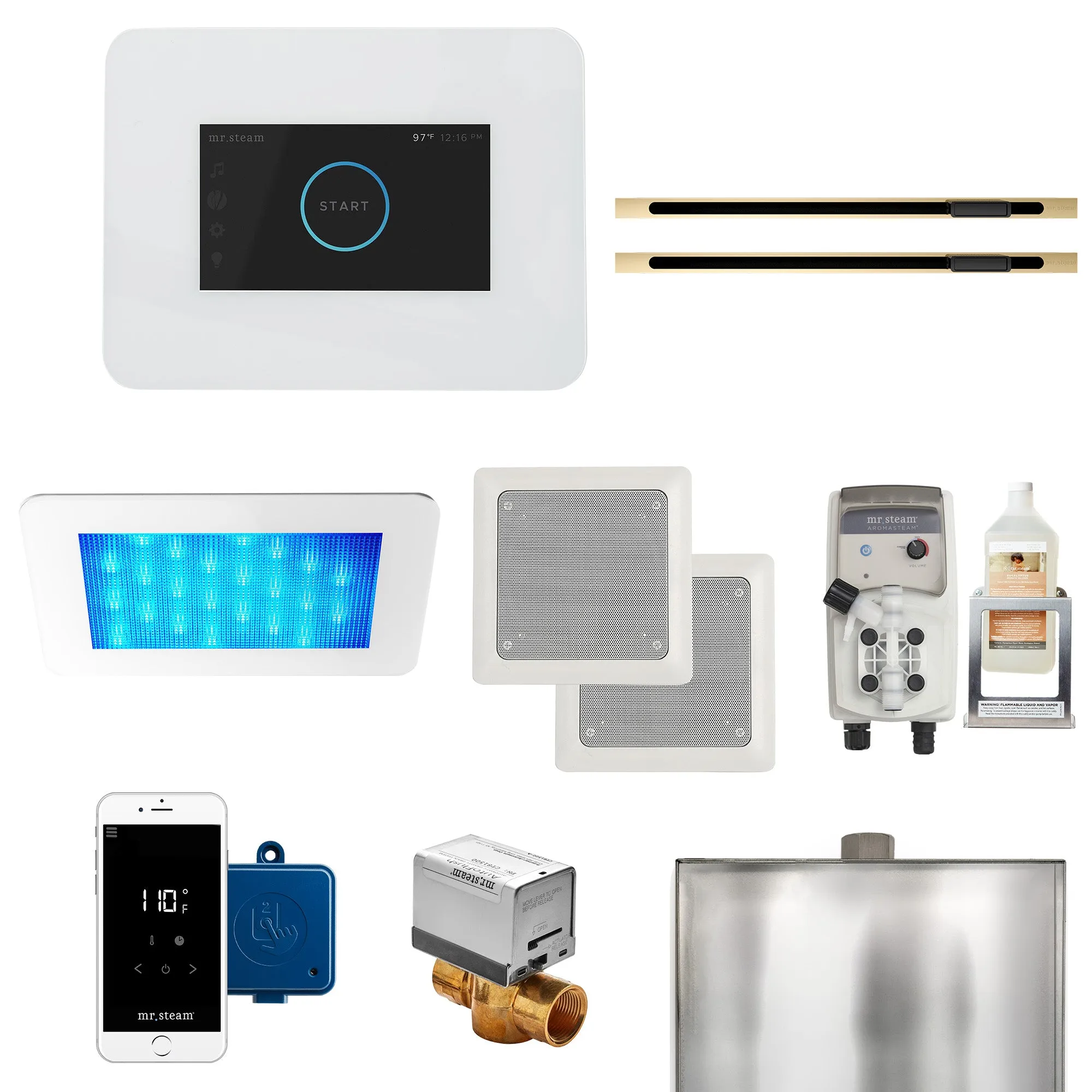 Mr. Steam iDream® Max Linear Steam Generator Control Bundle