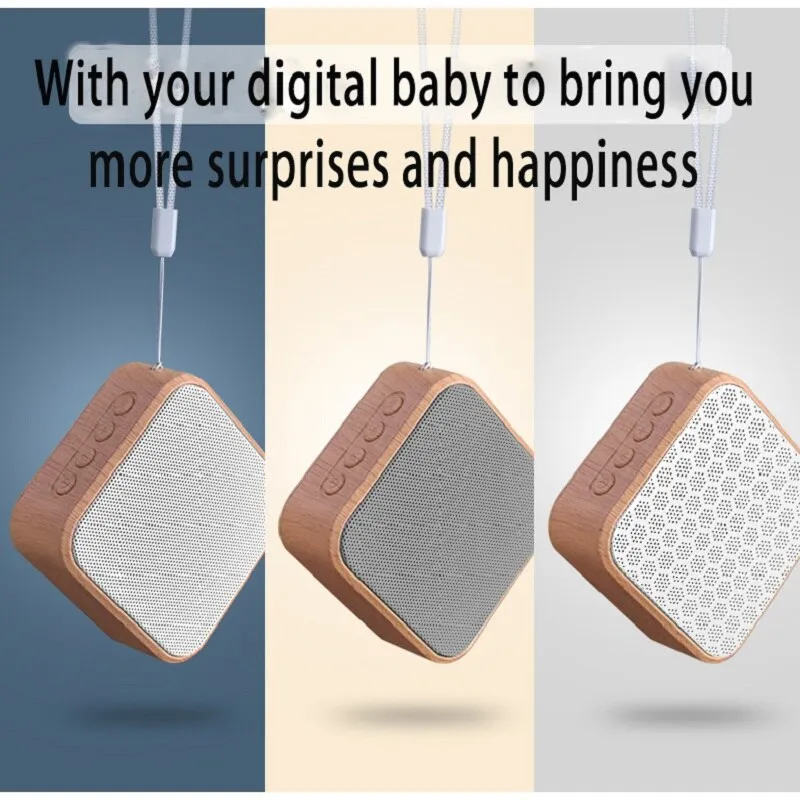Portable  Outdoor speaker