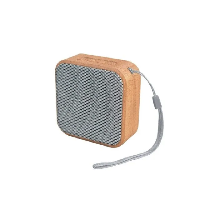 Portable  Outdoor speaker