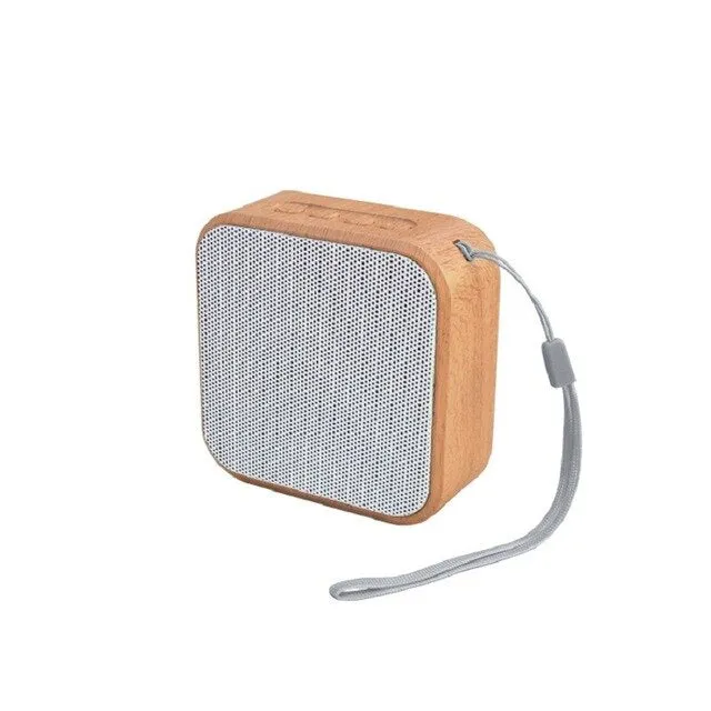 Portable  Outdoor speaker