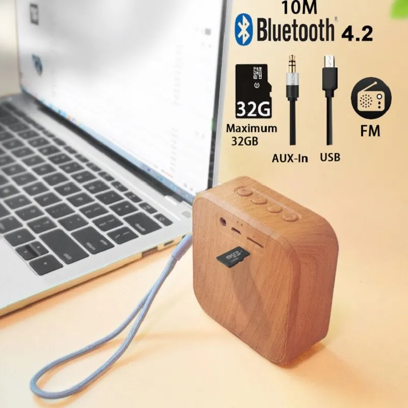 Portable  Outdoor speaker