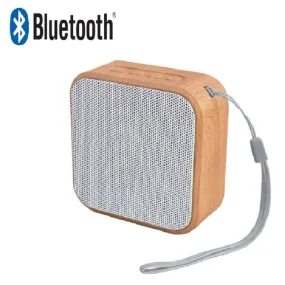 Portable  Outdoor speaker