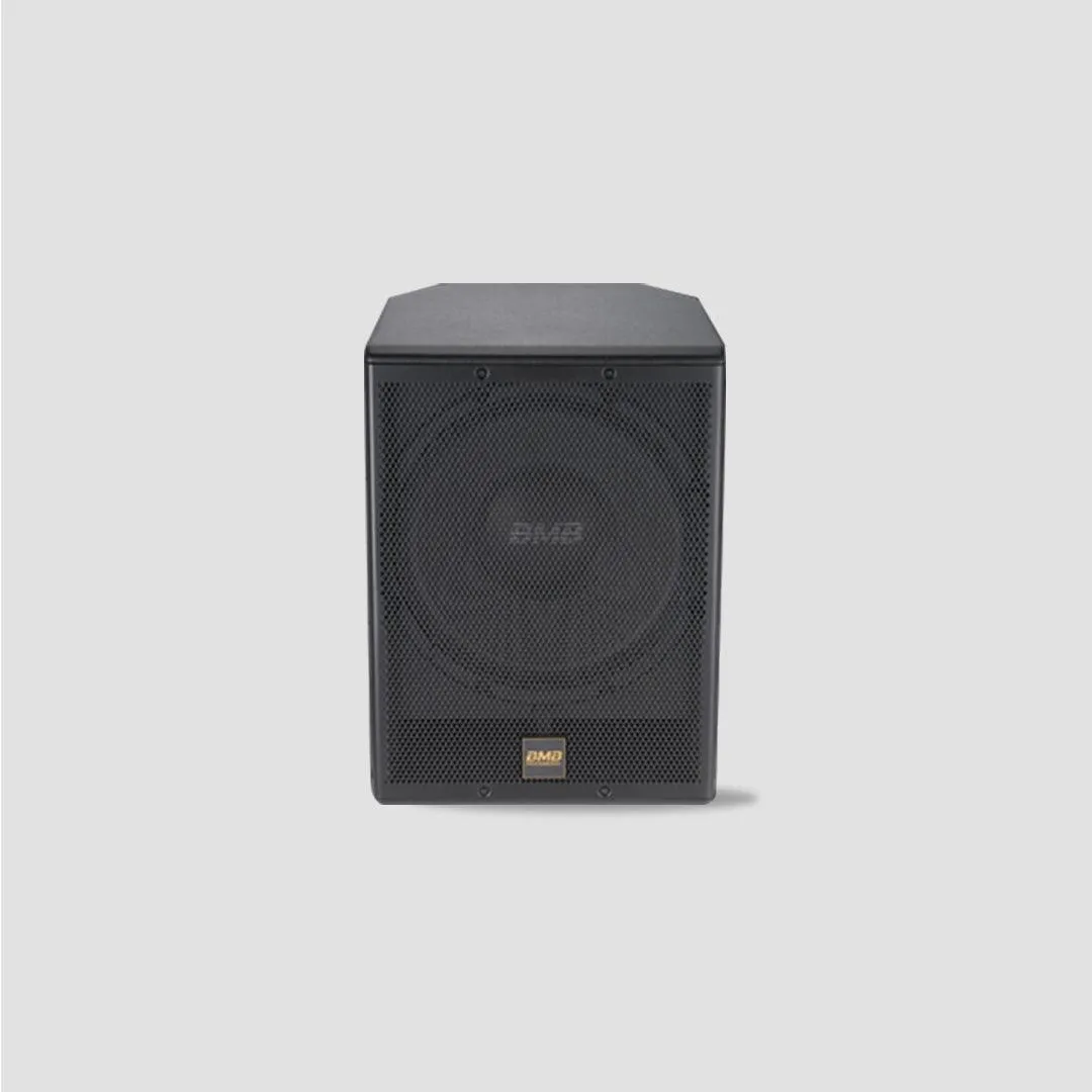 Professional CSW - 600 Pasive subwoofer